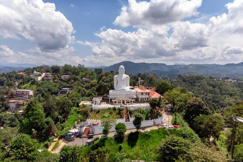 Kandy Temple of the Tooth & Tea Factory Day Tour