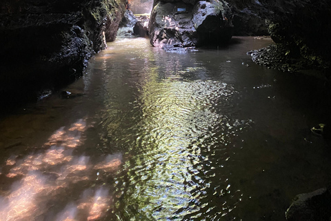 特特巴图：瀑布、香料、梯田、猴子森林特特巴图之旅、香料、瀑布、梯田、猴林