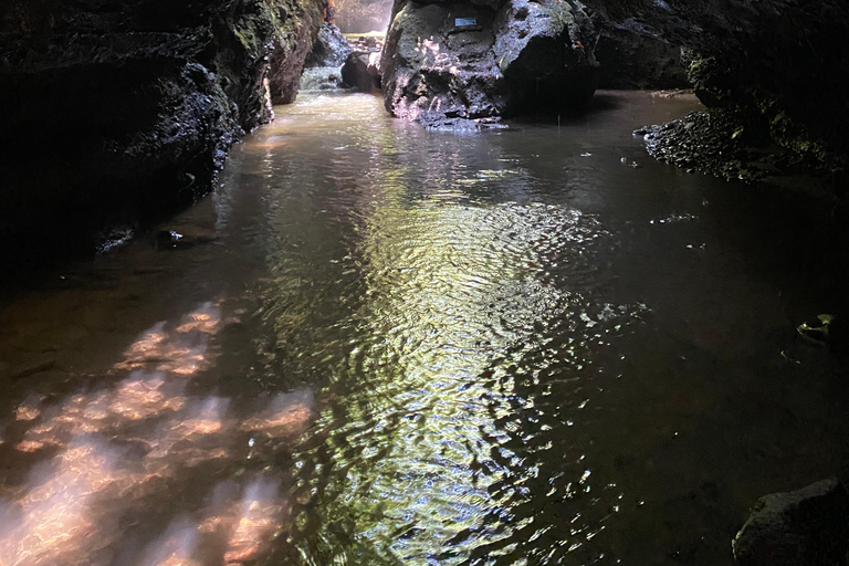 特特巴图：瀑布、香料、梯田、猴子森林特特巴图之旅、香料、瀑布、梯田、猴林