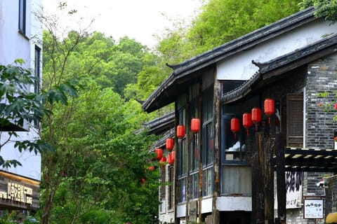 Shenzhen Gankeng Ancient Town & Cultural Heritage 5H Tour - 2026
