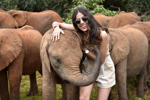 Nairobi: National Park, Elephant Orphanage & Giraffe Center