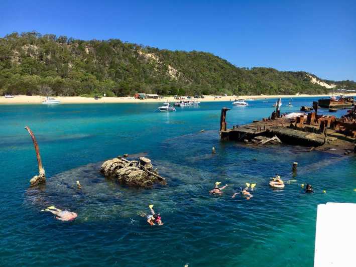 Moreton Island: Dolphin and Snorkel Cruise Adventure
