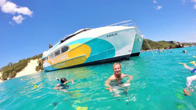 moreton island dolphin and snorkel cruise adventure