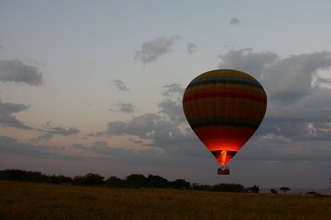 Desde Nairobi: safari privado de 3 días a Masái Mara