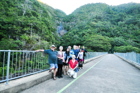 Cairns: Stadsrundtur med sevärdheter och middagskryssning på kvällenCairns: City Sights Tour med kvällskryssning