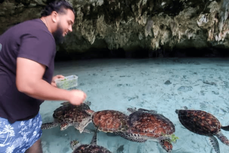 Zanzibar: nuota con le tartarughe marine nella grotta della laguna a Nungwi