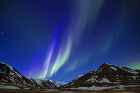 Iceland: South Coast and Northern Lights Tour Tour with Hotel Pickup