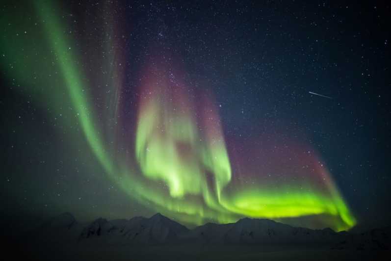 Islanda: Tour della costa meridionale e dell'aurora boreale