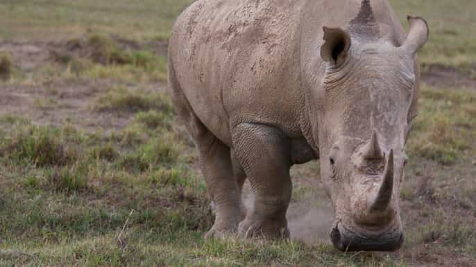 overnight safari to serena sweetwaters