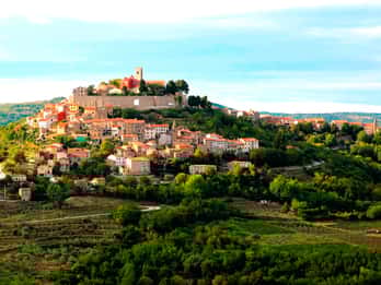 Truffle Hunting & Istrian Gems: Motovun & Opatija Day Trip