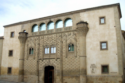 Tour privato di Ubeda e BaezaFrancese