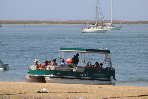 From Faro: 4 Stops, 3 Islands in Ria Formosa Catamaran Tour