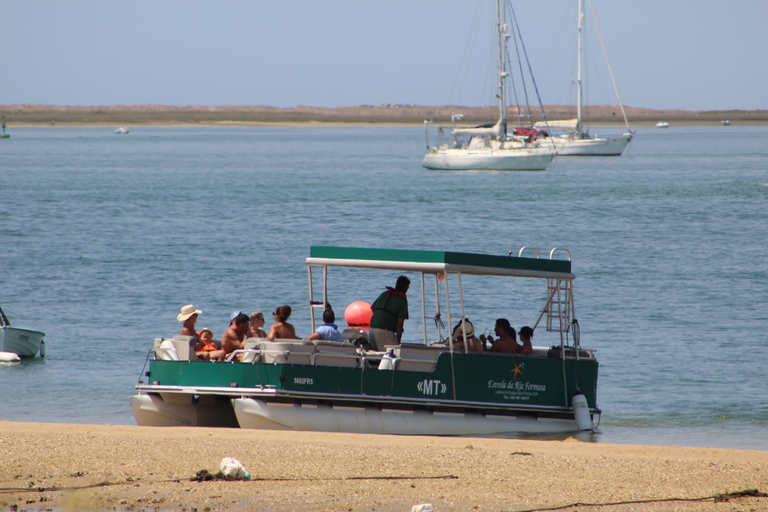 From Faro: 4 Stops, 3 Islands in Ria Formosa Catamaran Tour
