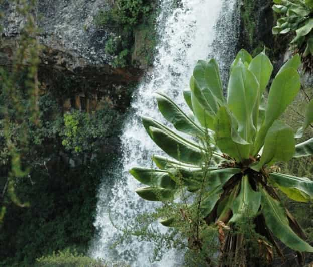 Monte Kenia, Provincial Central de Kenia - Reserva de entradas y tours ...