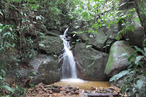 Caves and Waterfalls of Tijuca Forest - by Alan Denis