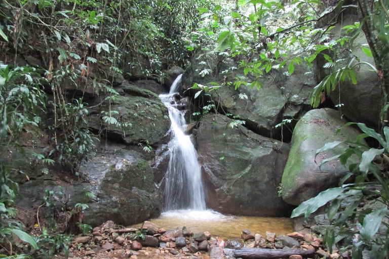 Caves and Waterfalls of Tijuca Forest - by Alan Denis