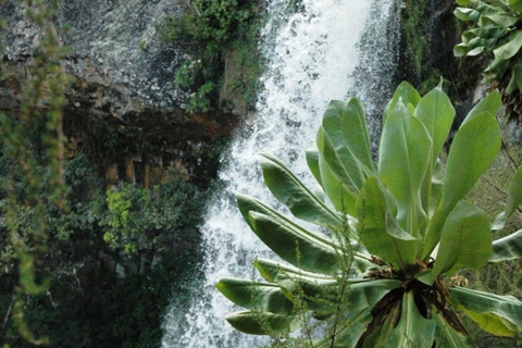 Safari di quattro giorni a Samburu e Aberdare