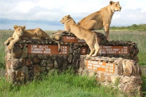 Van Nairobi: Private Nairobi National Park Tour