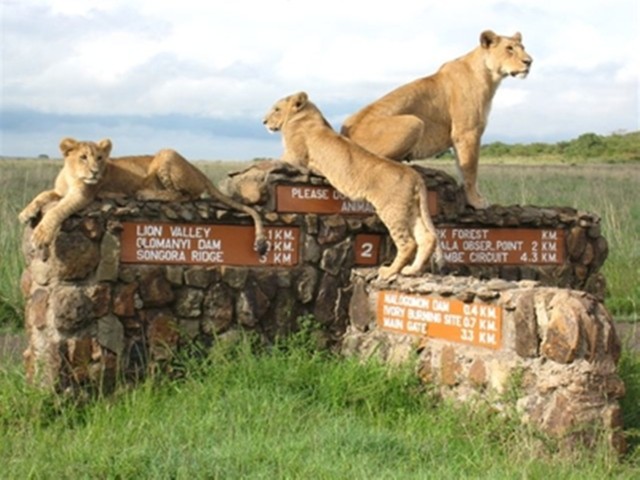 Visit From Nairobi Private Nairobi National Park Tour in Granada