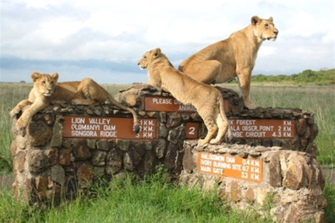 From Nairobi: Private Nairobi National Park Tour