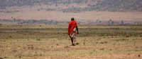 Overnachtingssafari naar Amboseli - Housity