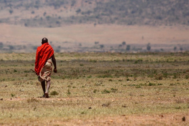 Safari notturno ad AmboseliSafari notturno