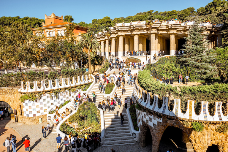 Barcelona: Szybka wycieczka po Parku GüellPrywatna wycieczka po parku Güell