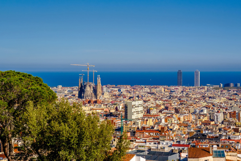 Barcelone : visite accélérée du parc GüellVisite privée au parc Güell