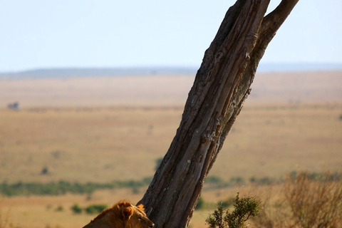 Amboseli: Three Day Safari