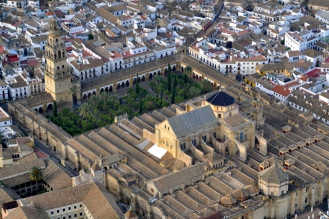 Desde Granada: tour a Córdoba y la mezquita de la ciudadDesde Granada: tour privado Córdoba y mezquita con almuerzo