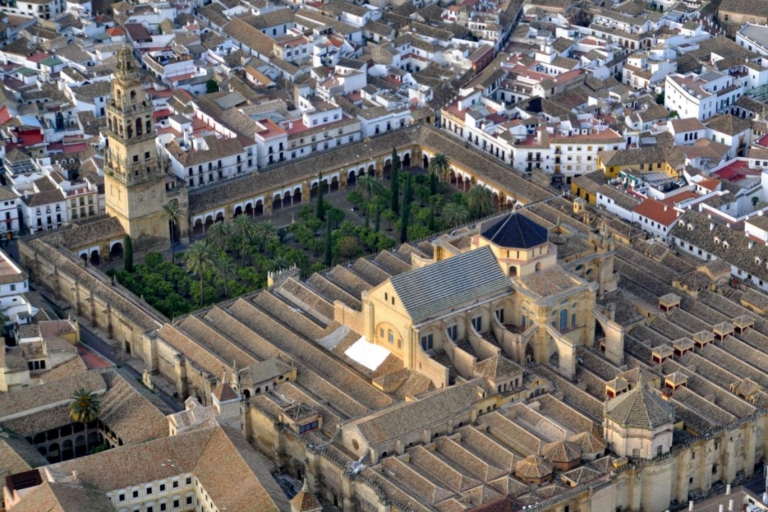 Van Granada: Cordoba en Mezquita Full Day TourVan Granada: privétour Cordoba en Mezquita met lunch