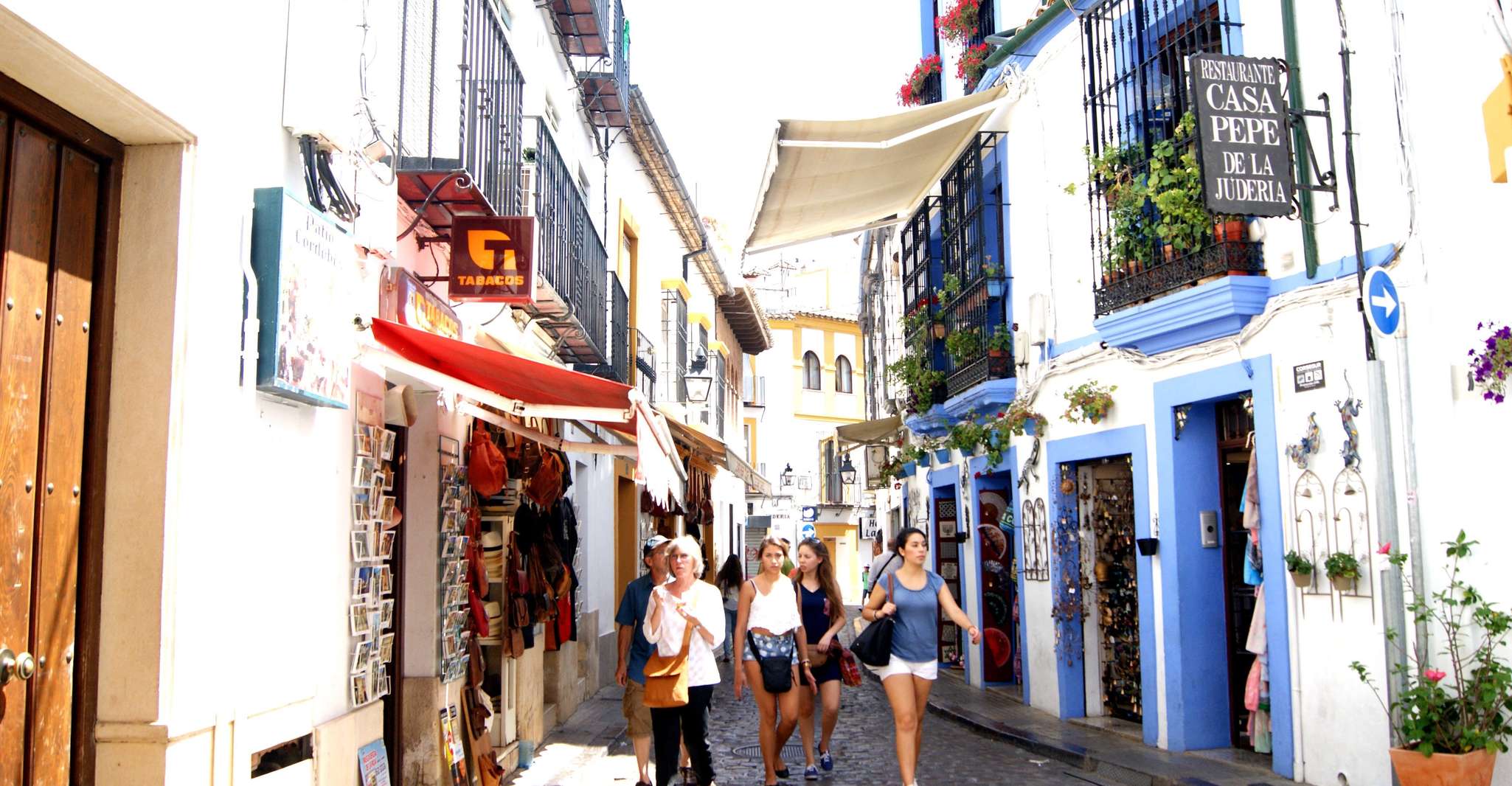 From Granada, Cordoba and Mezquita Full Day Tour - Housity