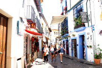 Van Granada, Cordoba en Mezquita Full Day Tour - Housity