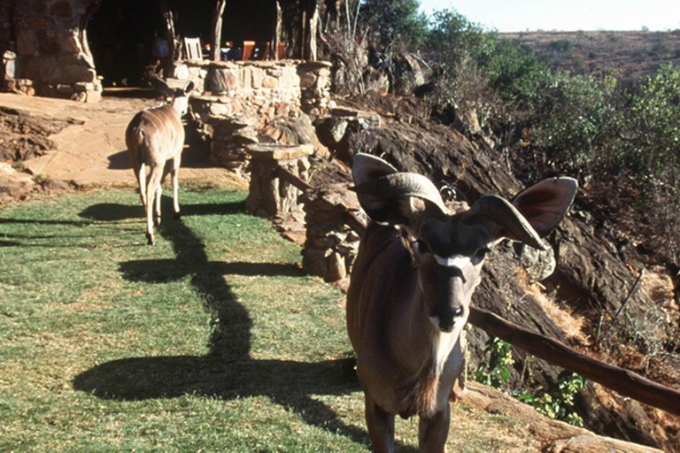 Safari di quattro giorni a Samburu e Aberdare