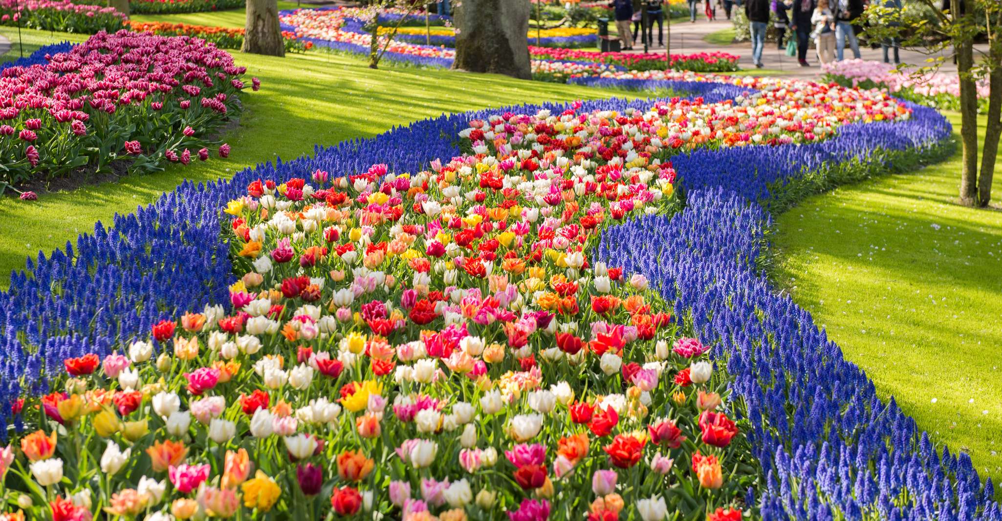 From Amsterdam, Keukenhof Entrance and Public Bus Transfer - Housity