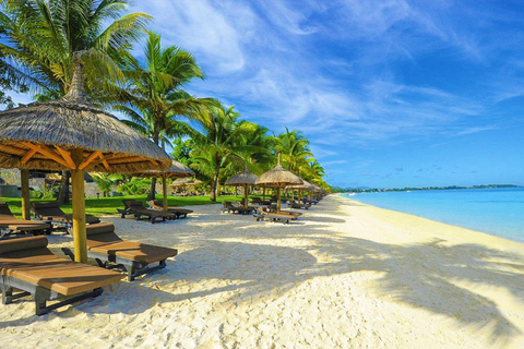 Mauritius: Private Full-Day Tour of the North Coast