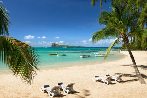 Mauritius: Private Full-Day Tour of the North Coast