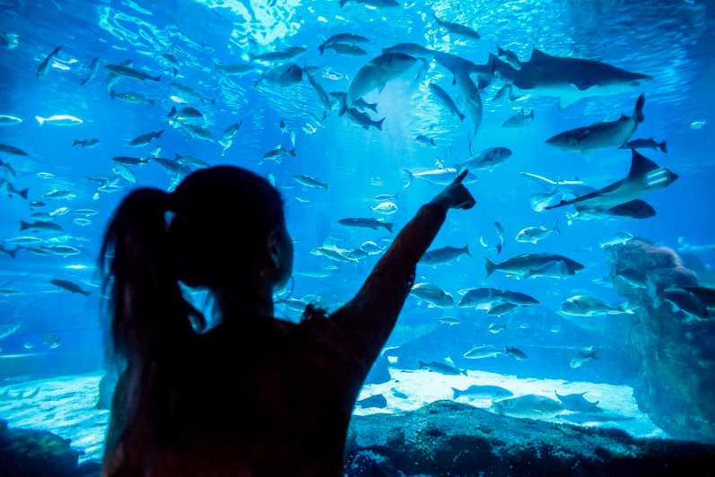 Barcelona Aquarium: Ticket ohne Anstehen