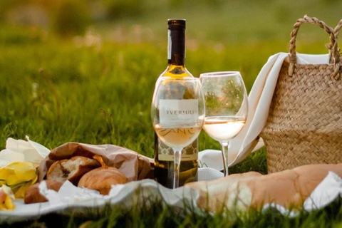 Estancia Las Mercedes Day Trip with Lunch & Transfers