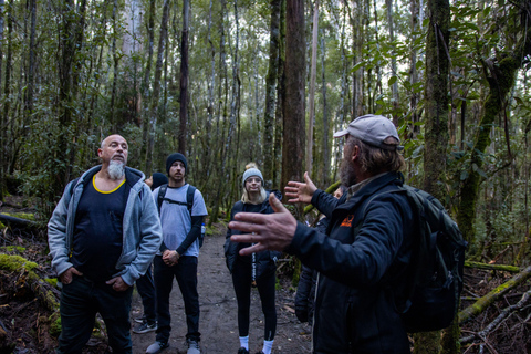 Hobart strandutflykt: Mt Field nationalpark och vilda djur