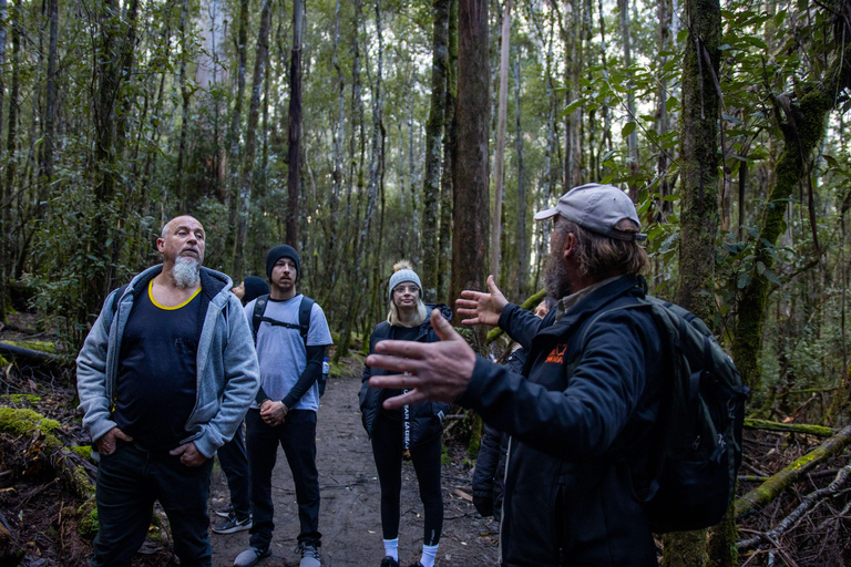 Excursion à Hobart : Parc national et faune du Mont Field