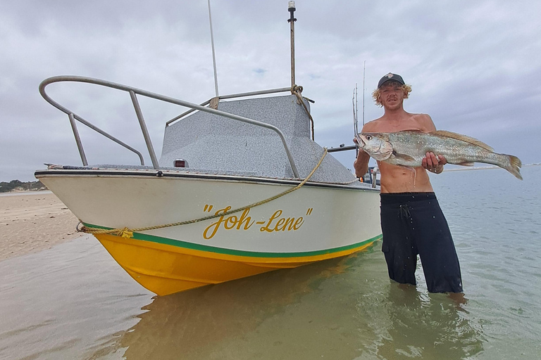 رحلات السفاري في المحيط وصيد الأسماك في خليج سانت فرانسيس