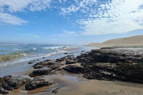 Swakopmund: Namib Desert Sunrise, Seals & Sandwich Harbour