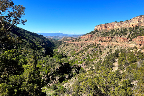 Colorado Springs: Cripple Creek Backcountry Jeep Tour