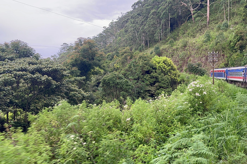 Circuit de 2 jours à Ella : Chutes de Diyaluma, plaines de Horton et train panoramique