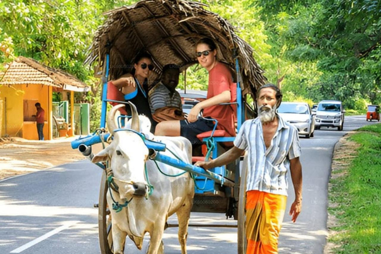 Day trip from Sigiriya to Dambulla