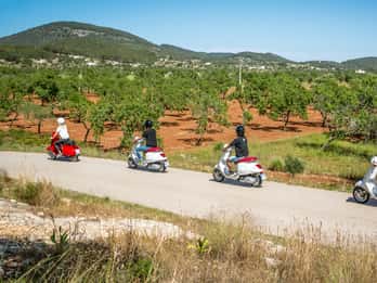 Ibiza: Sightseeing-Tour mit einer Vespa Ibiza: Sightseeing-Tour mit einer Vespa