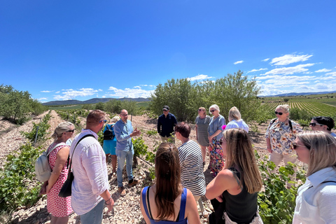 Da Valencia: Degustazione di vini e visita alla Cueva de Turche