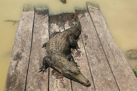 Iquitos || 2 days in the Amazon, natural wonder of the world