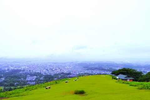 Nara: Hike Mt. Wakakusa and Encounter Wild Free-Roaming Deer